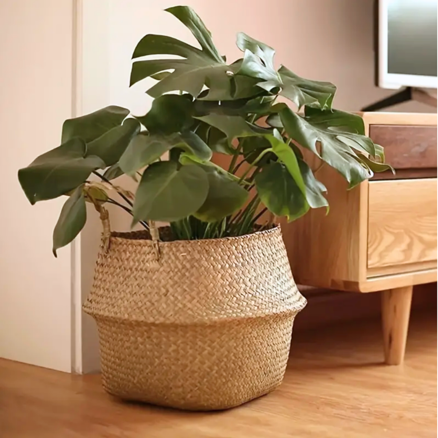 Seagrass Basket with Handles