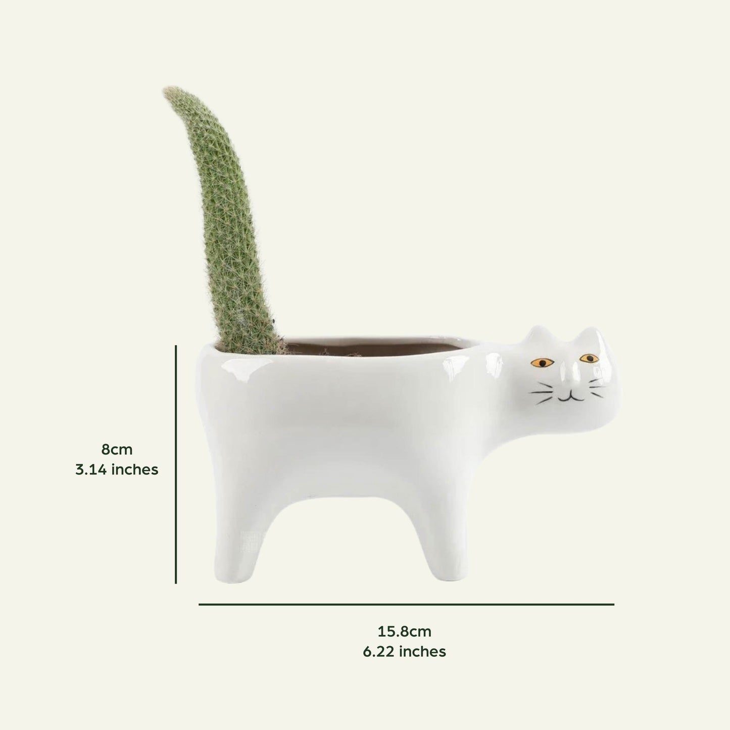 Ceramic Cat Planter