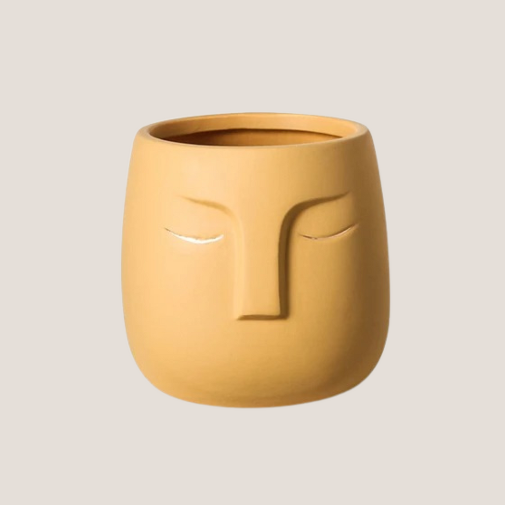 Abstract Face Ceramic Planter