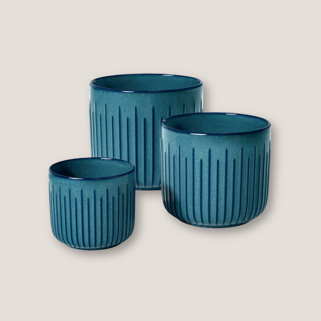 Set of 3 Embossed Ceramic Planters