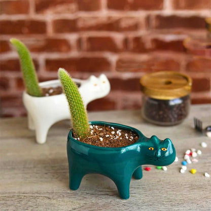 Ceramic Cat Planter