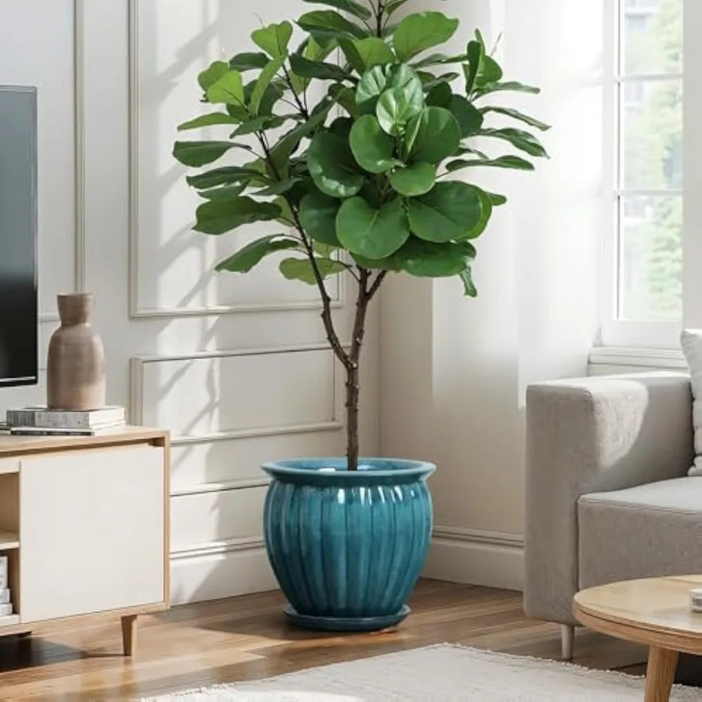 Maris Ceramic Planter