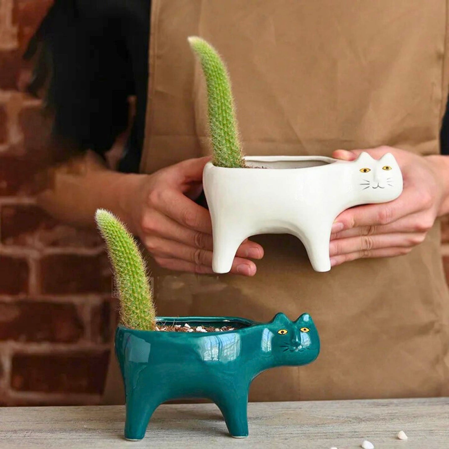 Ceramic Cat Planter