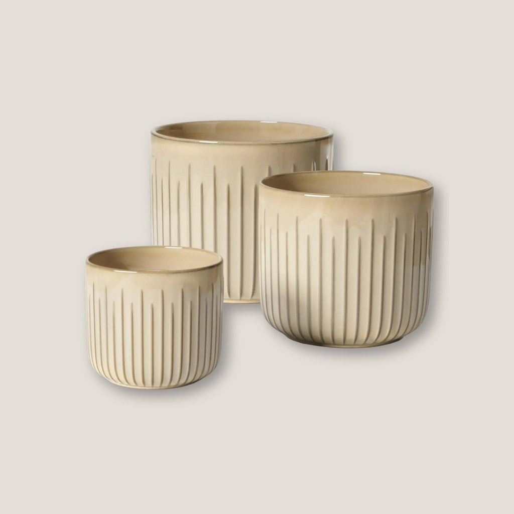 Set of 3 Embossed Ceramic Planters