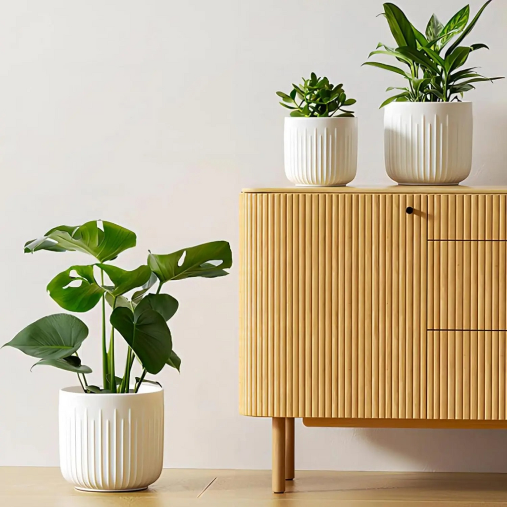 Set of 3 Embossed Ceramic Planters