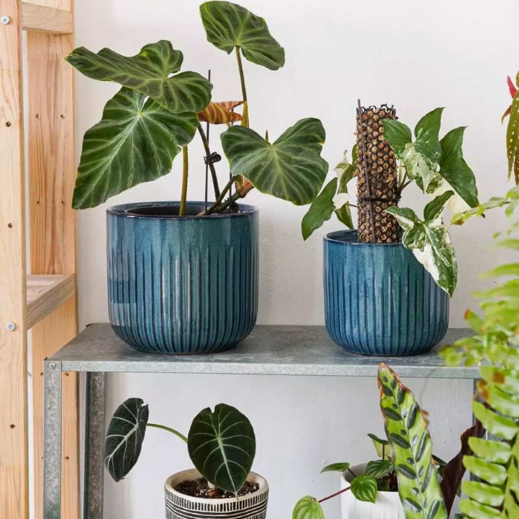 Set of 3 Embossed Ceramic Planters