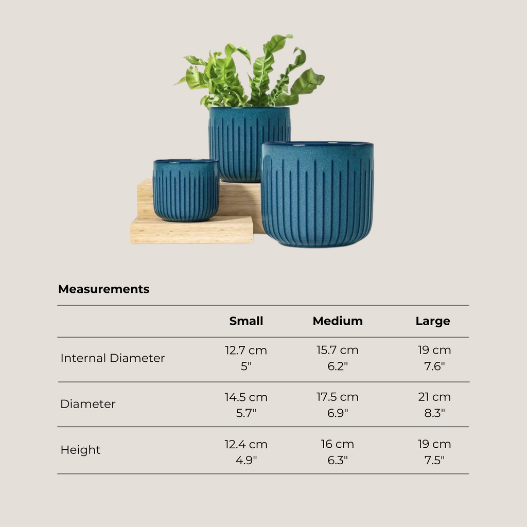 Set of 3 Embossed Ceramic Planters