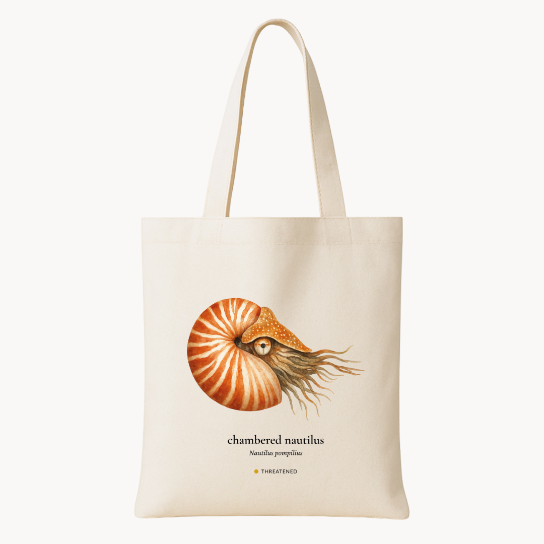 Chambered Nautilus Woven Tote Bag