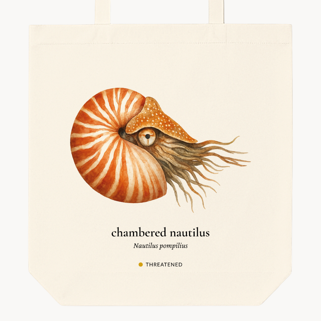 Chambered Nautilus Woven Tote Bag