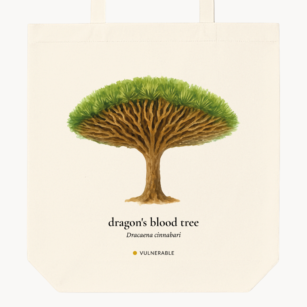 Dragon's Blood Tree Woven Tote Bag