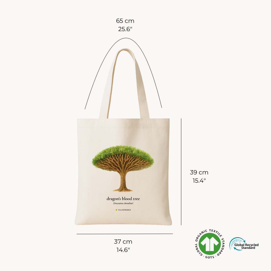 Dragon's Blood Tree Woven Tote Bag