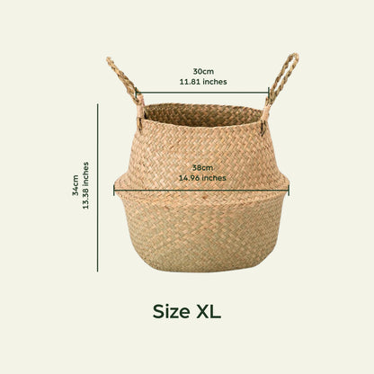 Seagrass Basket with Handles