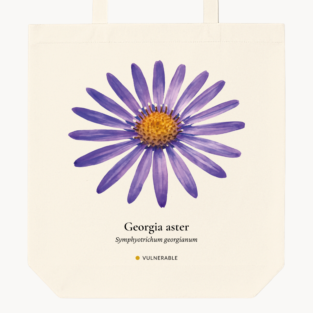 Georgia Aster Woven Tote Bag