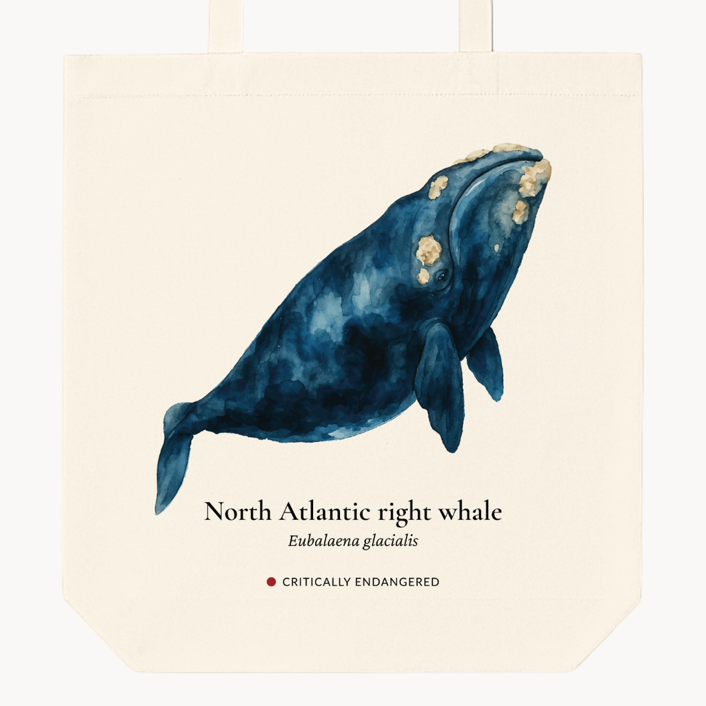 North Atlantic Right Whale Woven Tote Bag