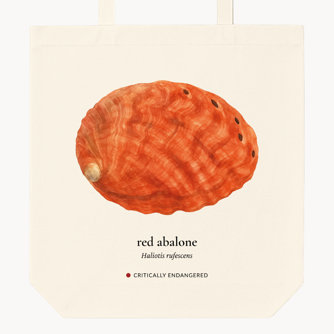 Red Abalone Woven Tote Bag