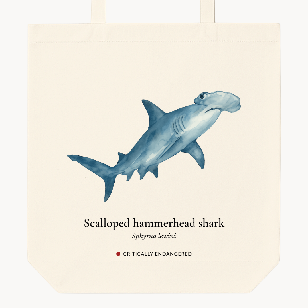 Scalloped Hammerhead Shark Woven Tote Bag