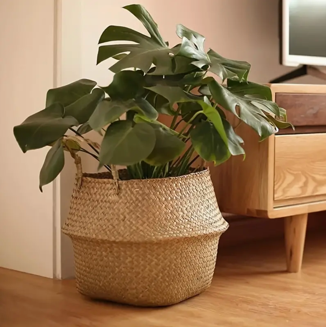 Seagrass Basket with Handles