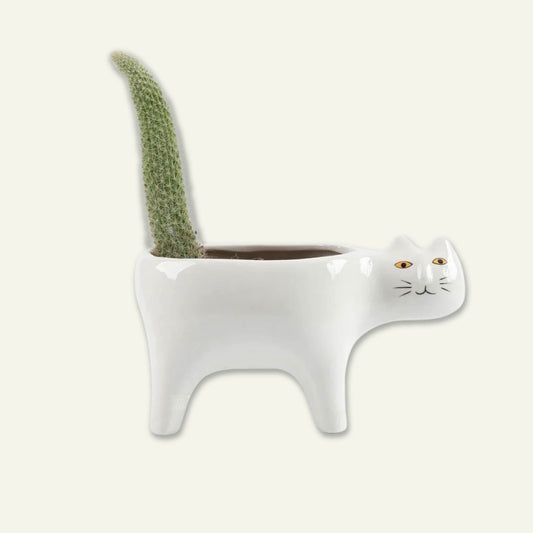 Ceramic Cat Planter