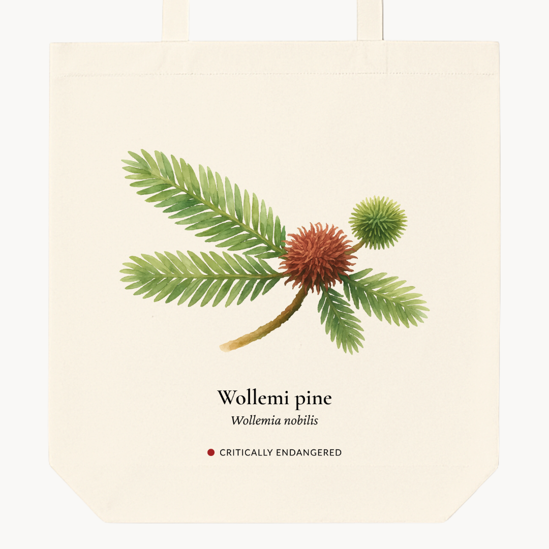 Wollemi Pine Woven Tote Bag