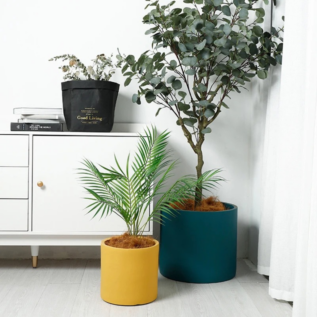 Colorful ceramic planter for indoor plants
