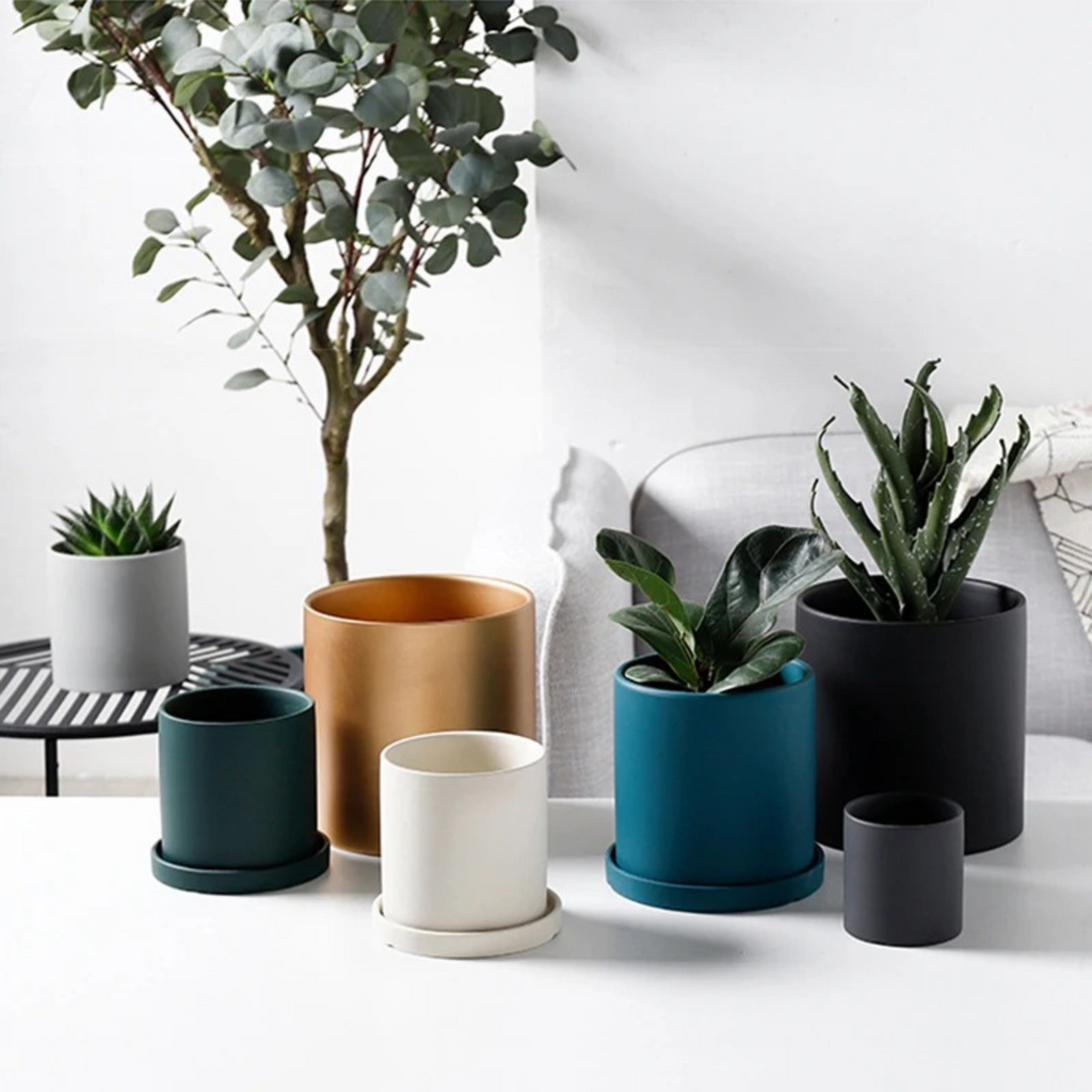 Colorful ceramic planter for indoor plants