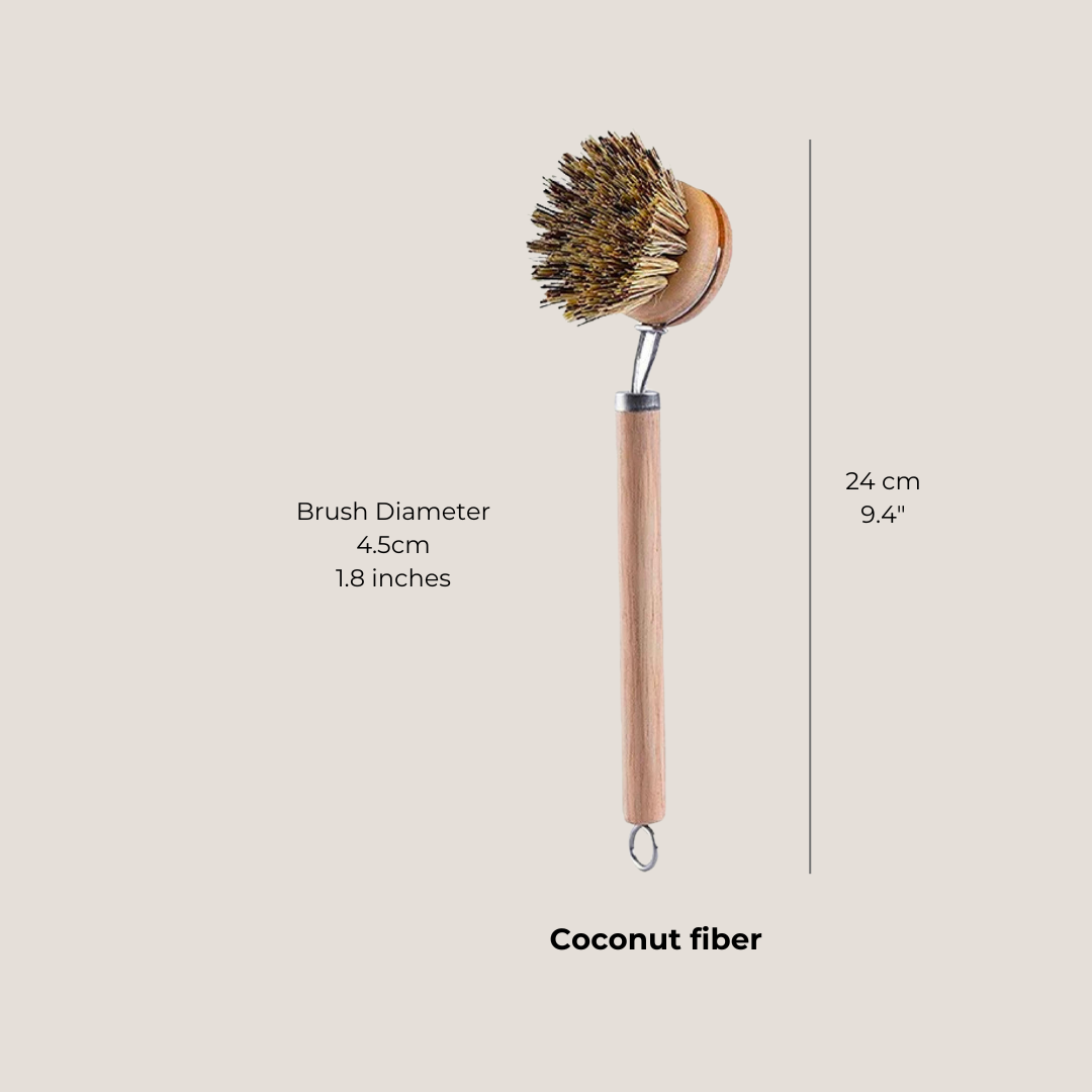 Coconut fiber scrubber displayed with labeled measurements