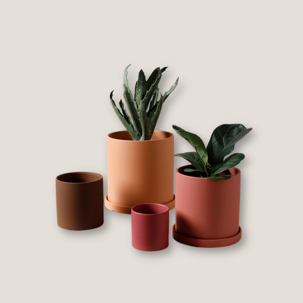 Colorful ceramic planter for indoor plants