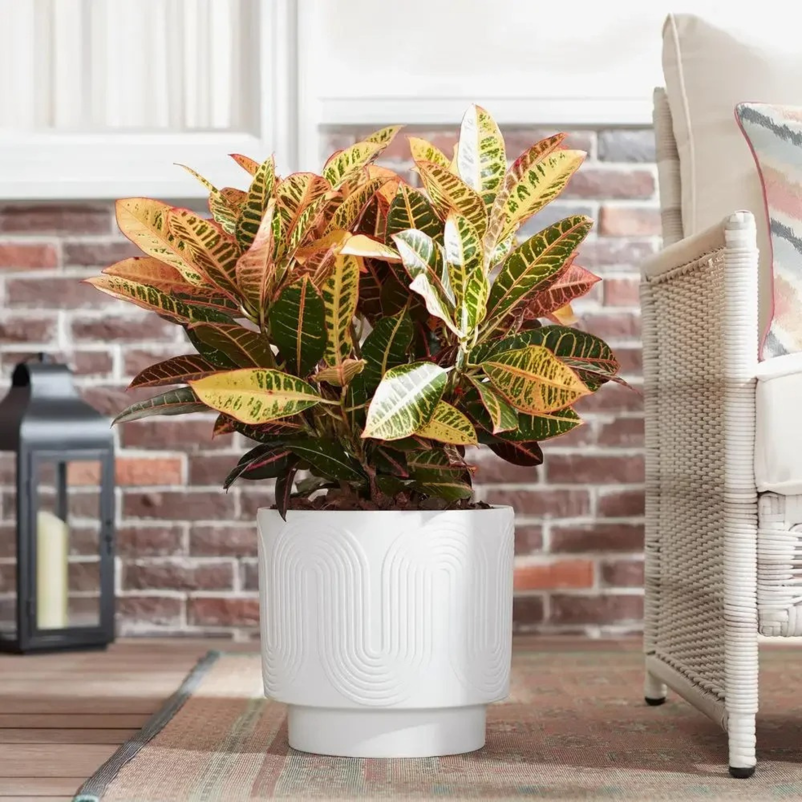 White ceramic planter styled with leafy plant on wooden surface
