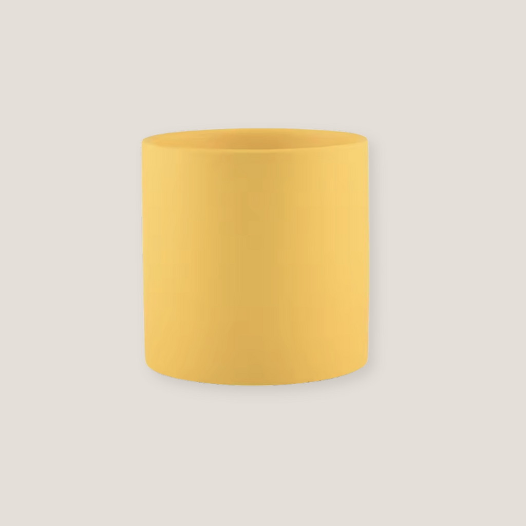Colorful ceramic planter for indoor plants